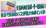 天井ボーダーを決める