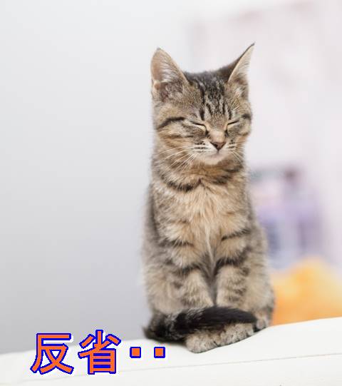 反省